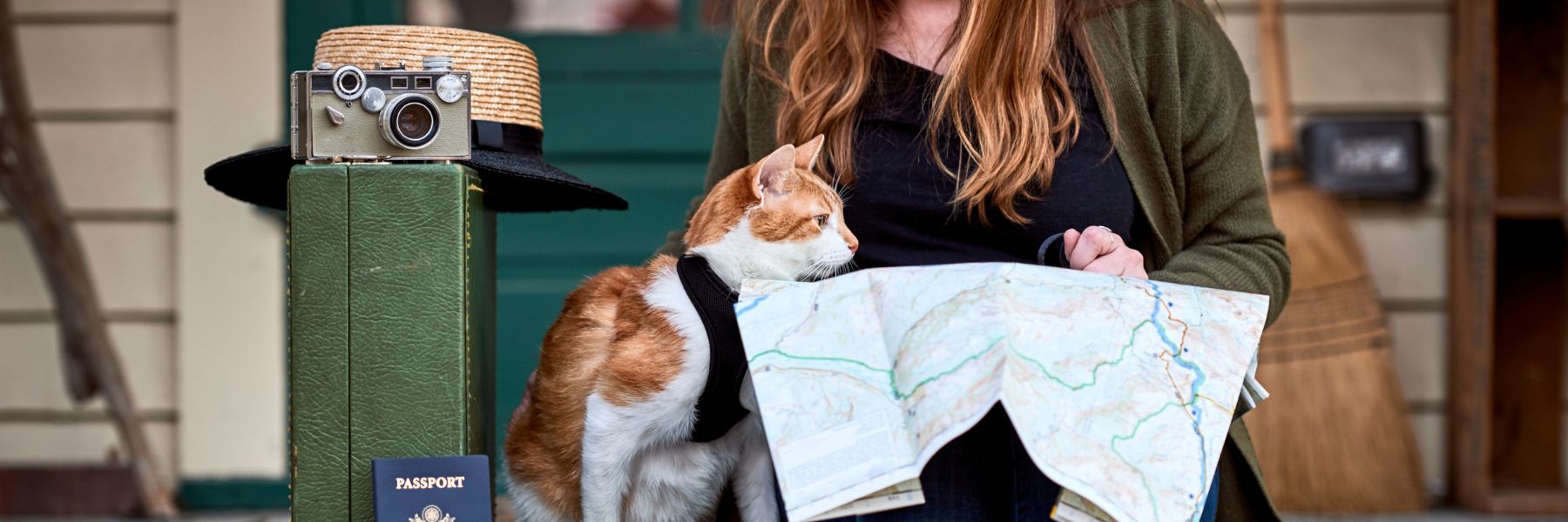 Pet Friendly Places To Travel To In The UK