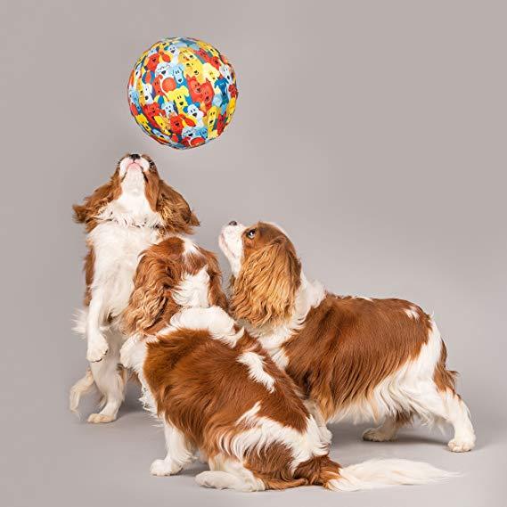 PetBloon dog ball