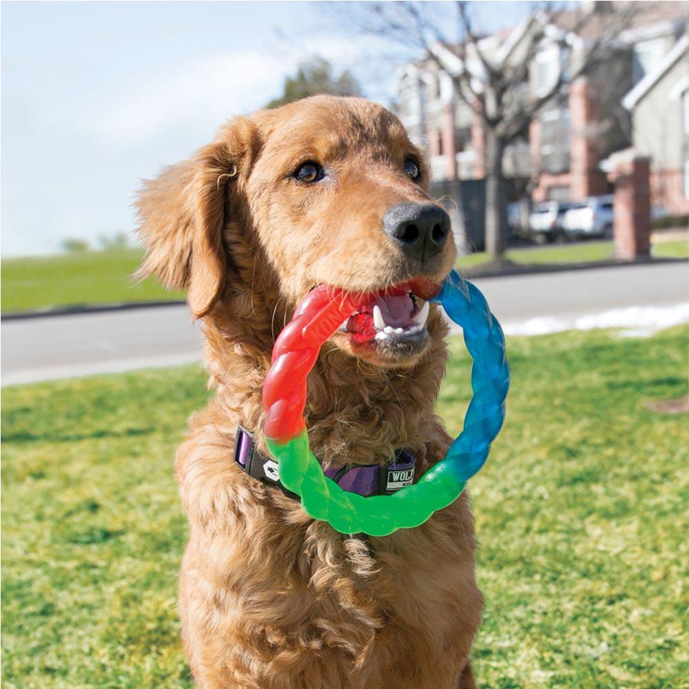 KONG Twistz ring dog toy for tugging