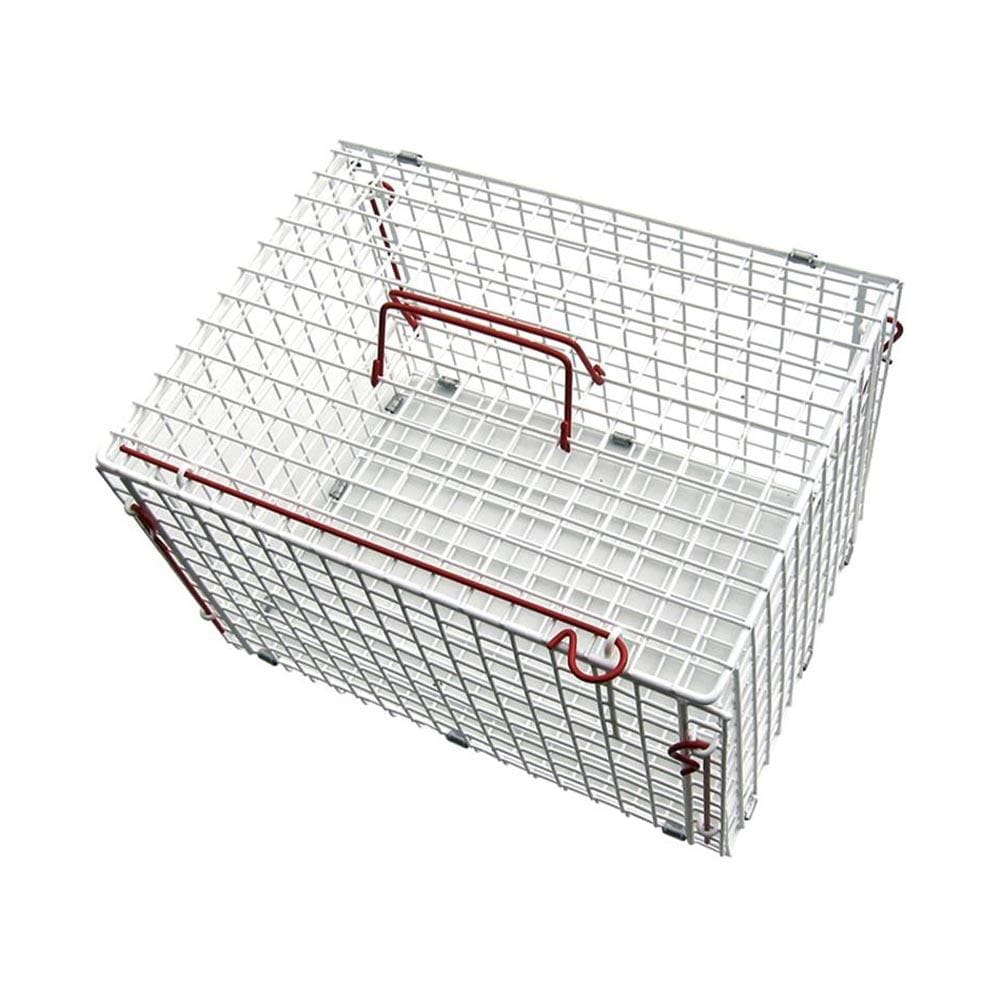 Folding wire cat cage