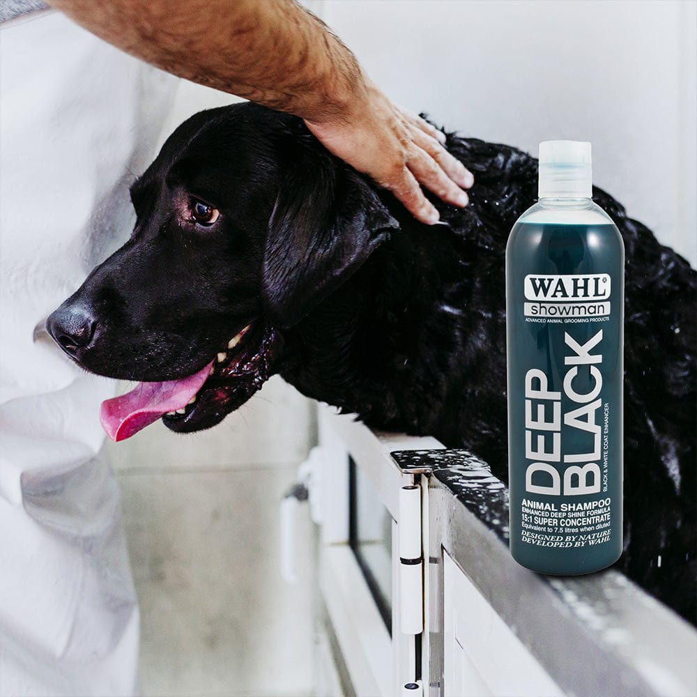 Wahl Deep Black shampoo for black dogs