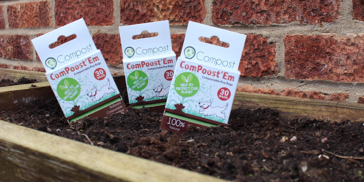 How Do You Compost Dog Poo Bags? — Simply2pets