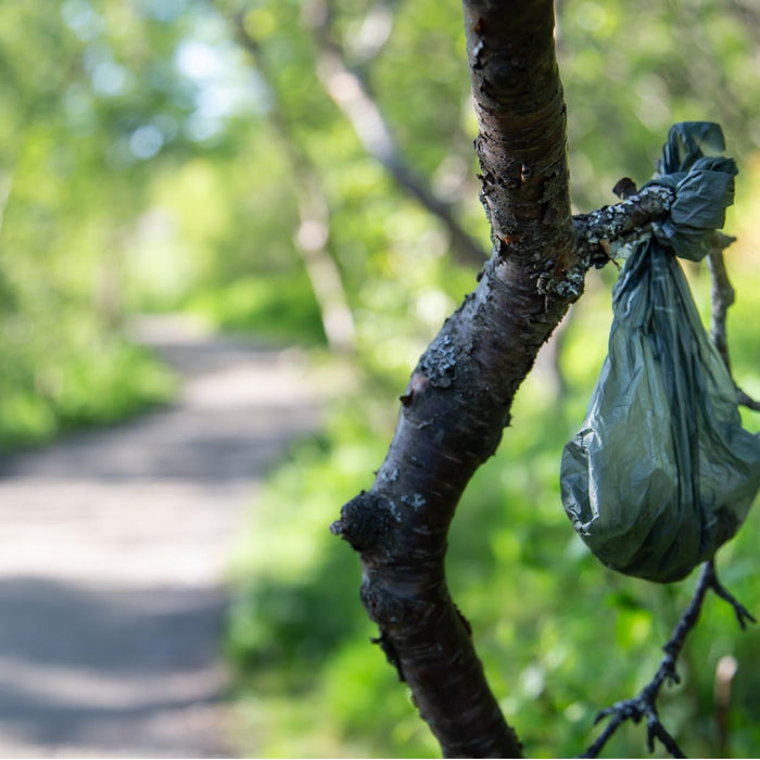 Are Dog Poo Bags Bad for the Environment?