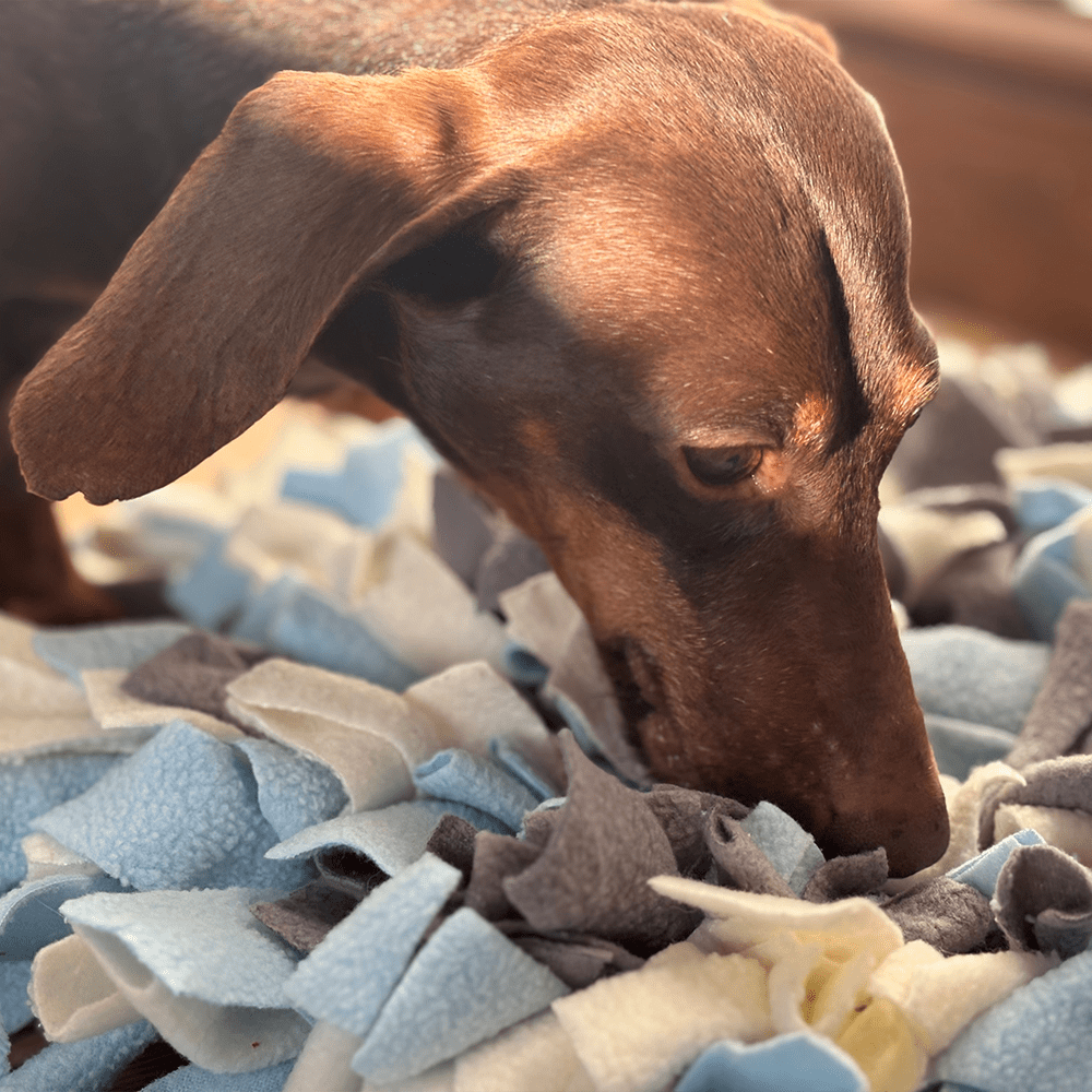 Cartoon Snuffle Mat Snuffle Mat — Simply2pets
