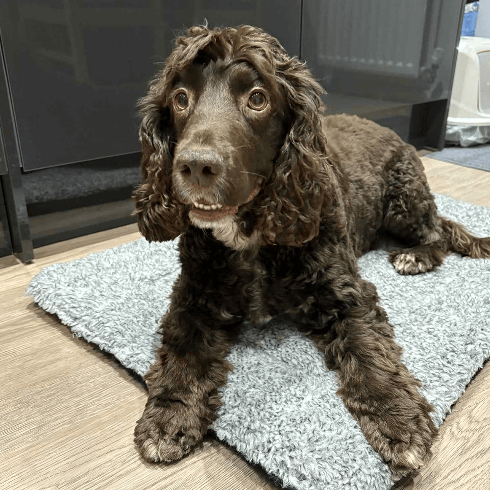 Snug'Em Ultra-Soft Pet Fleece Mat - Speckled