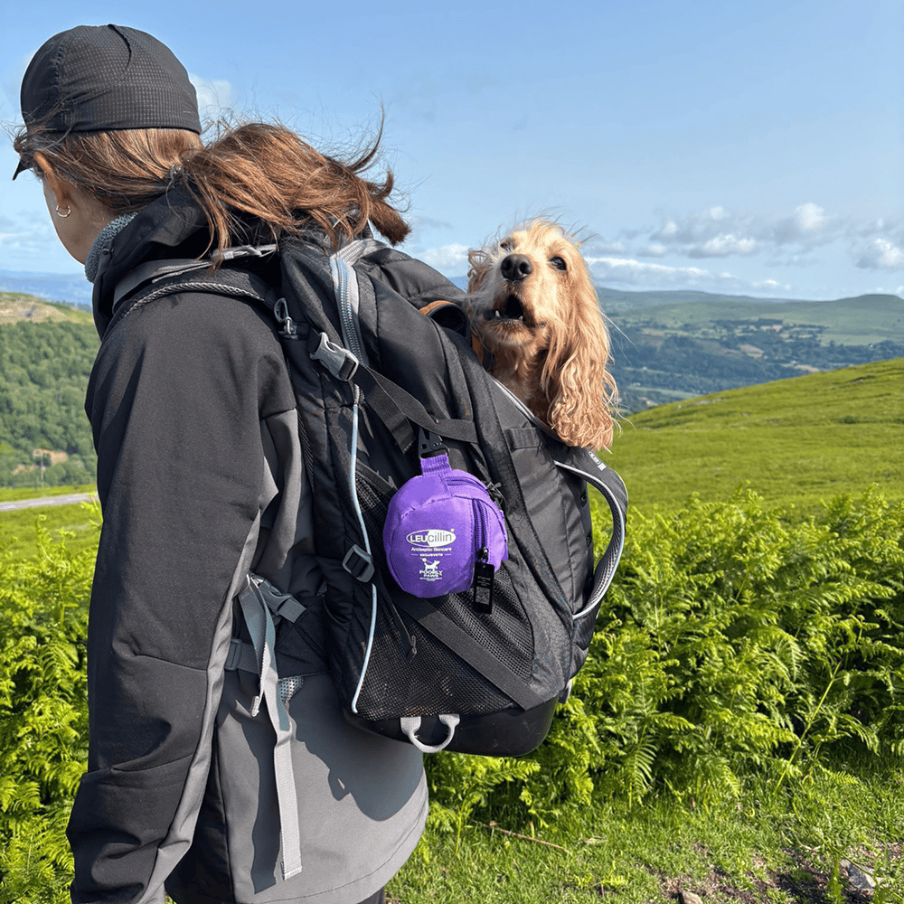 Leucillin Canine First Aid Kit