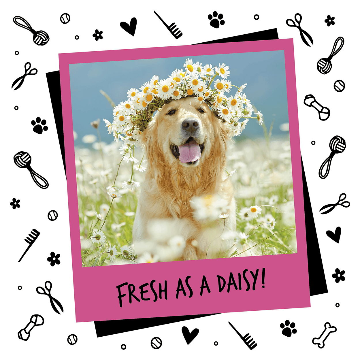 Bugalugs™ Dog Cologne - 200ml