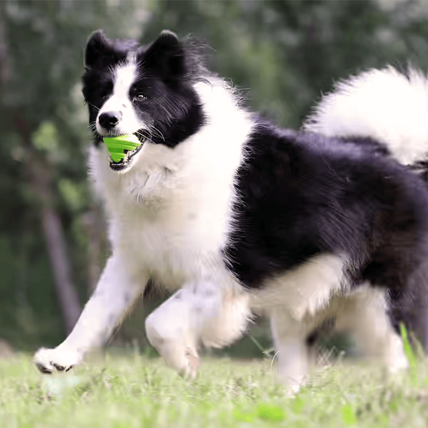 Geo-Gem Green - Sensory Enrichment Toy