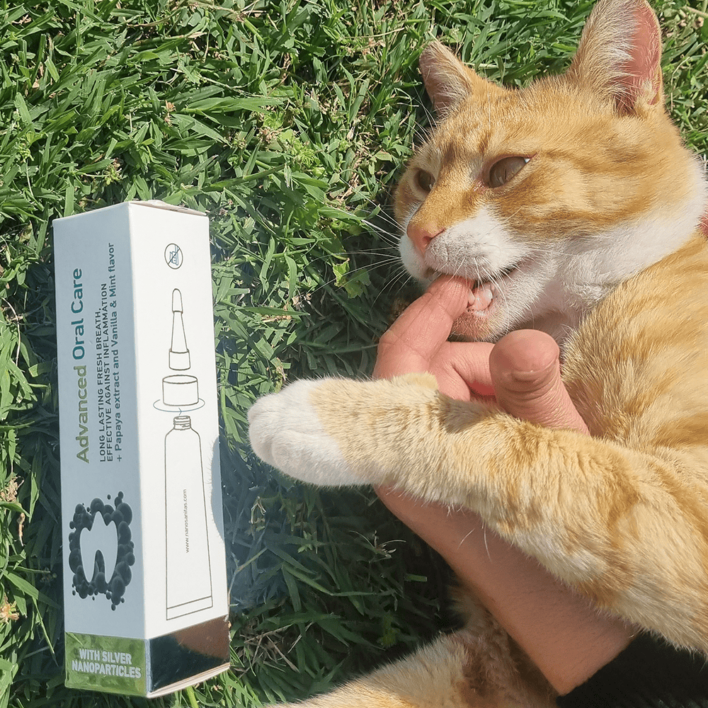 Dog & Cat Dental Gel | Advanced Oral Care No-Brush Gel