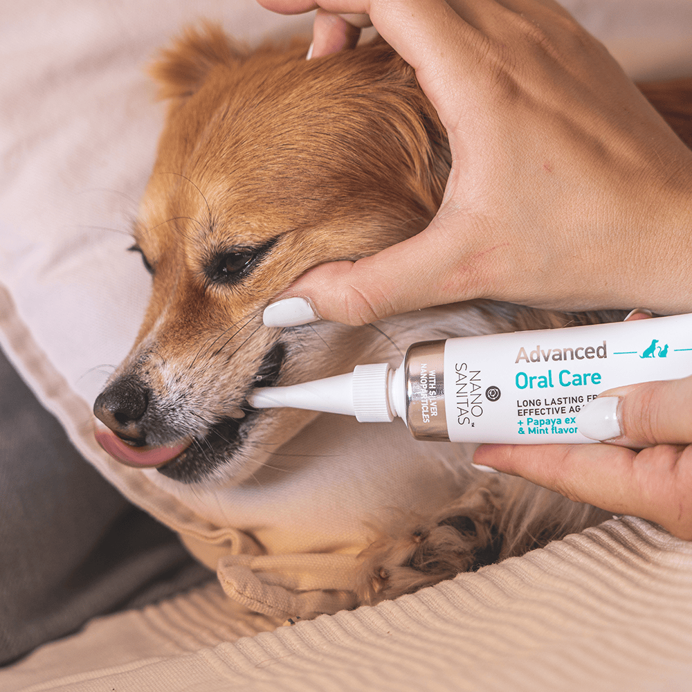 Dog & Cat Dental Gel | Advanced Oral Care No-Brush Gel