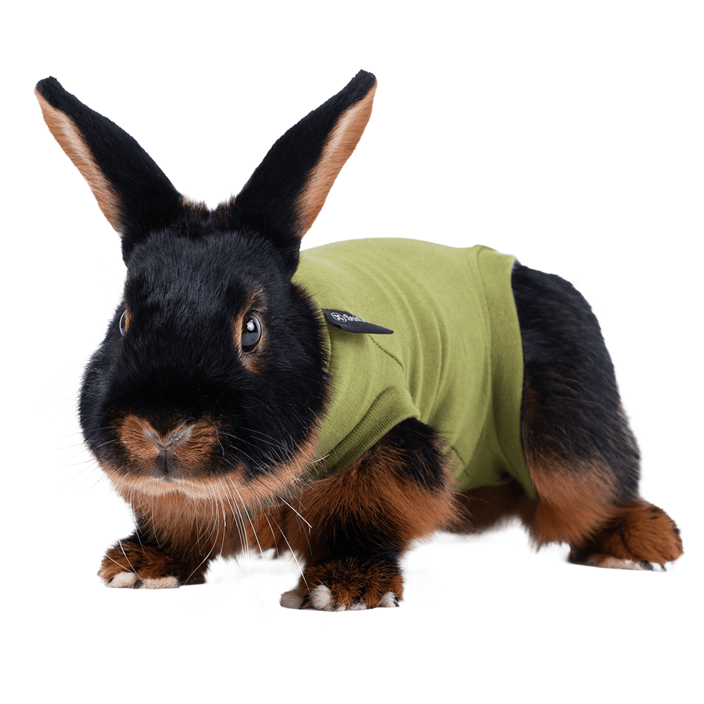 Rabbit Recovery Suit by Suitical - Green