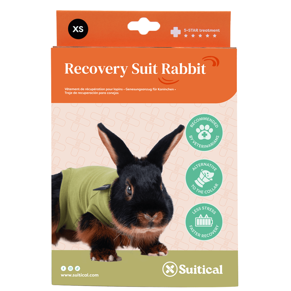 Rabbit Recovery Suit by Suitical - Green
