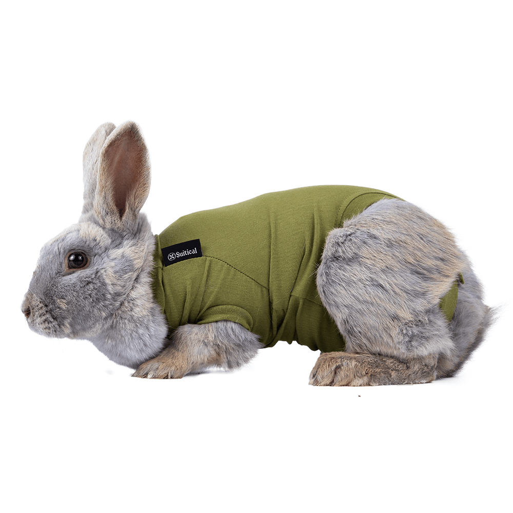 Rabbit Recovery Suit by Suitical - Green