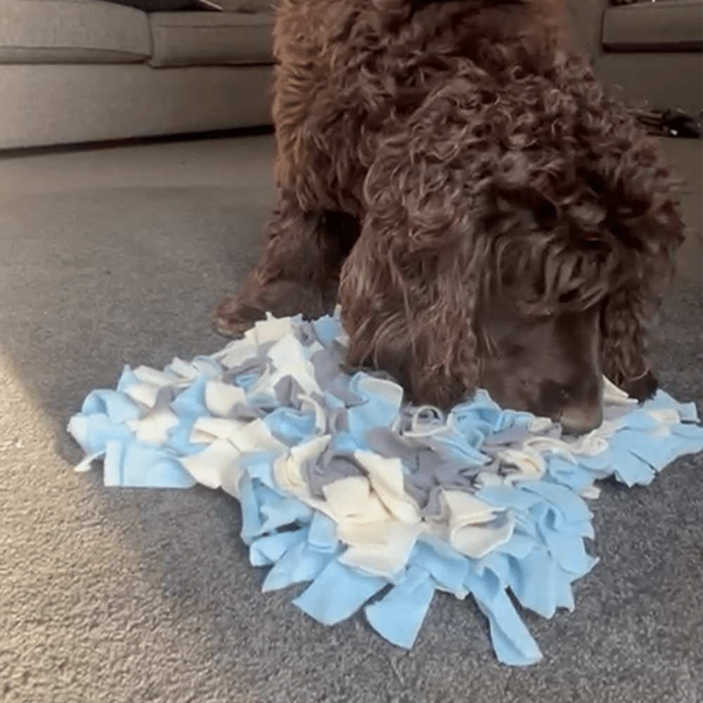 Spring Snuffle Mat Snuffle Mat — Simply2pets
