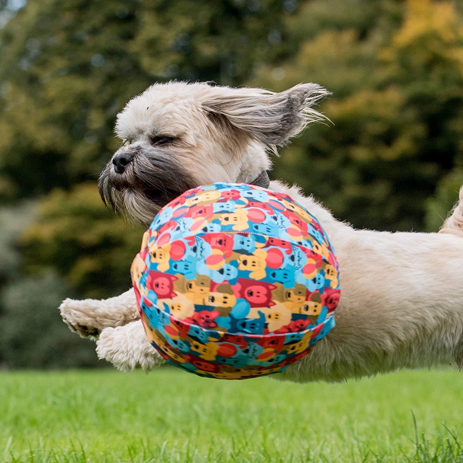 PetBloon piłka dla psa
