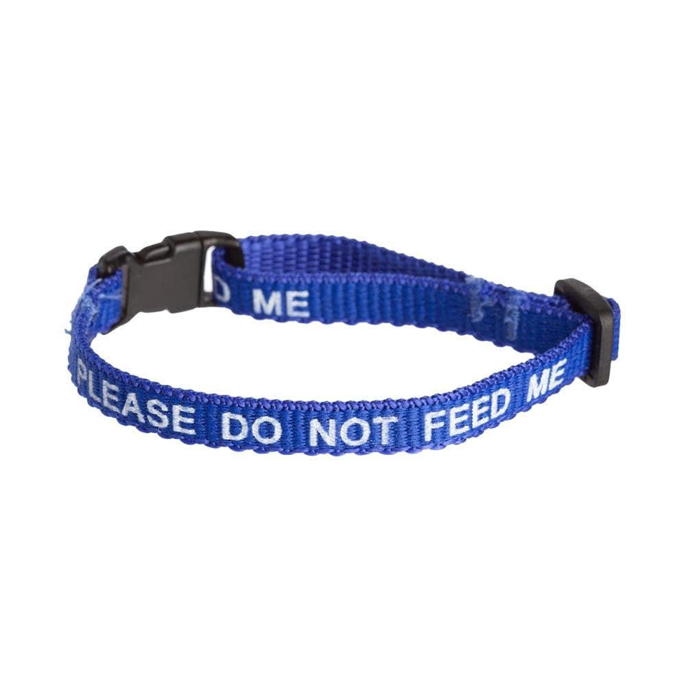 'Please Do Not Feed Me' cat collars