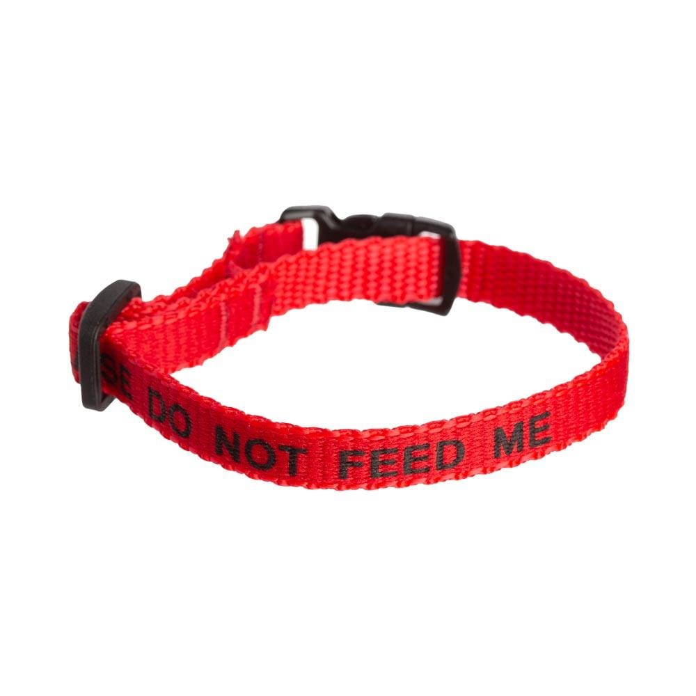 'Please Do Not Feed Me' cat collars