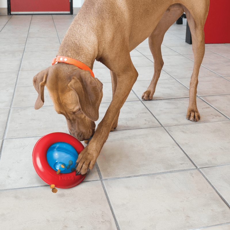 KONG Gyro interaktiver Leckerli-Spender für Hunde