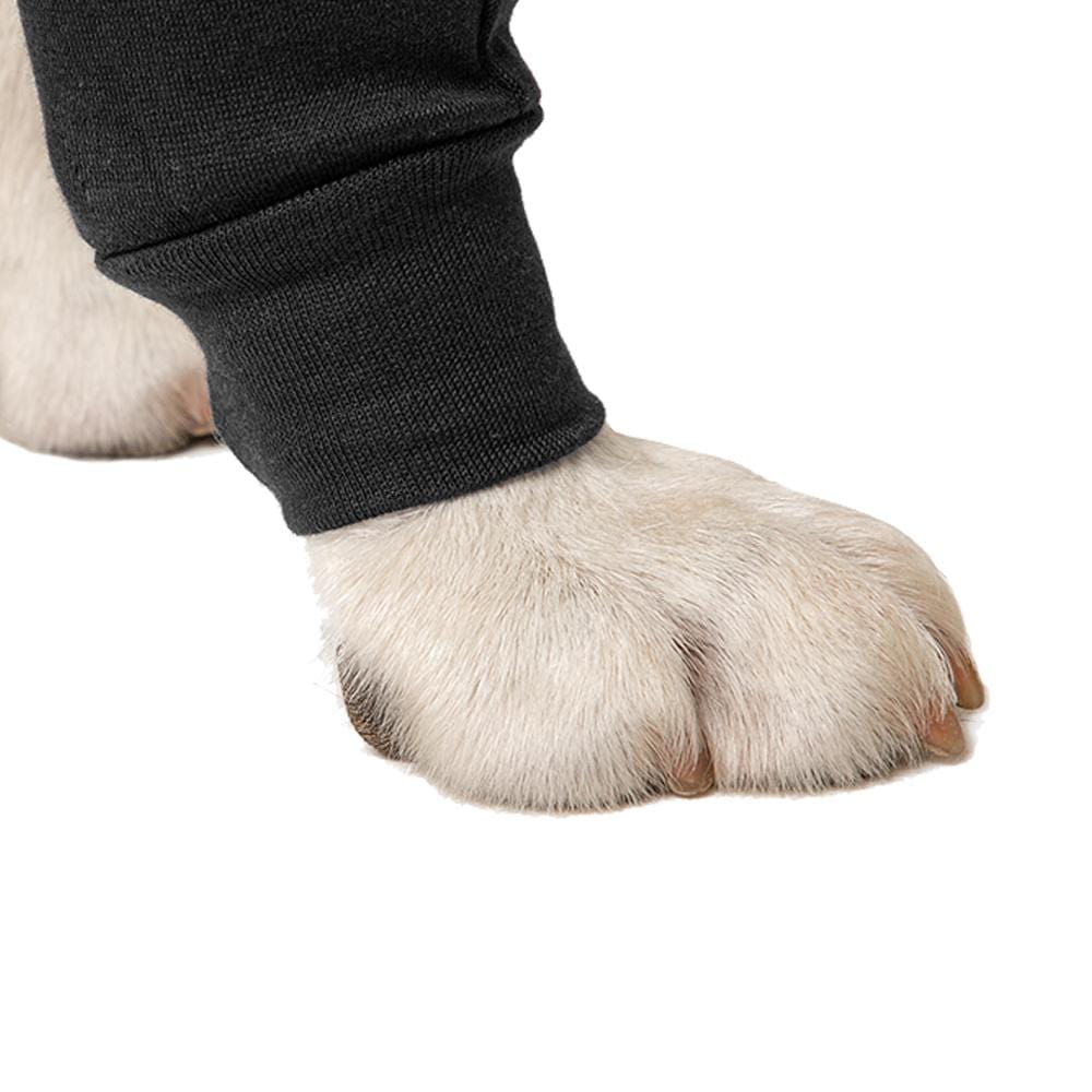 Front leg sleeve for dogs by Suitical