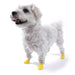Rubber semi-disposable dog paw covers in lime colour by PAWZ for tiny dogs