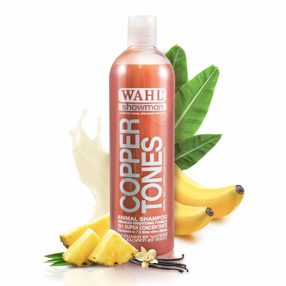 Copper Tones dog shampoo for red dogs by Wahl