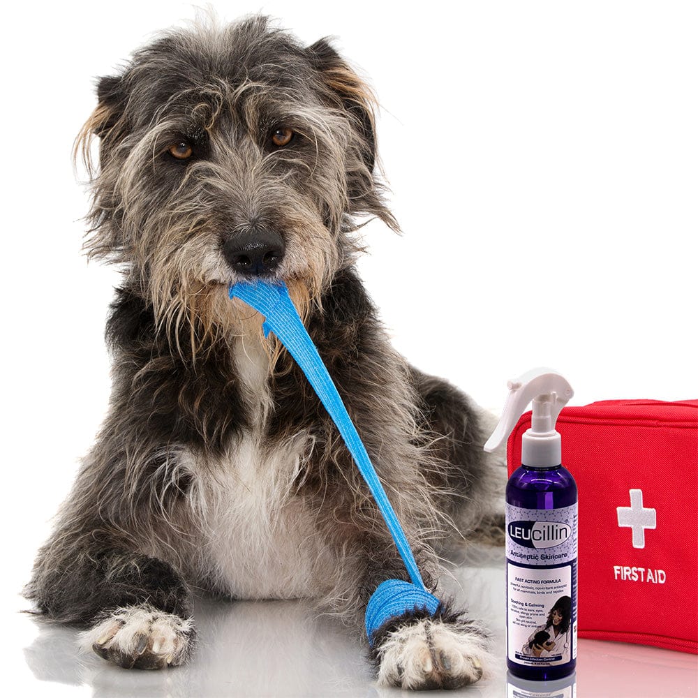 Leucillina spray antisettico per cani