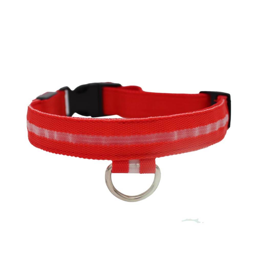 Light'Em LED safety dog collar