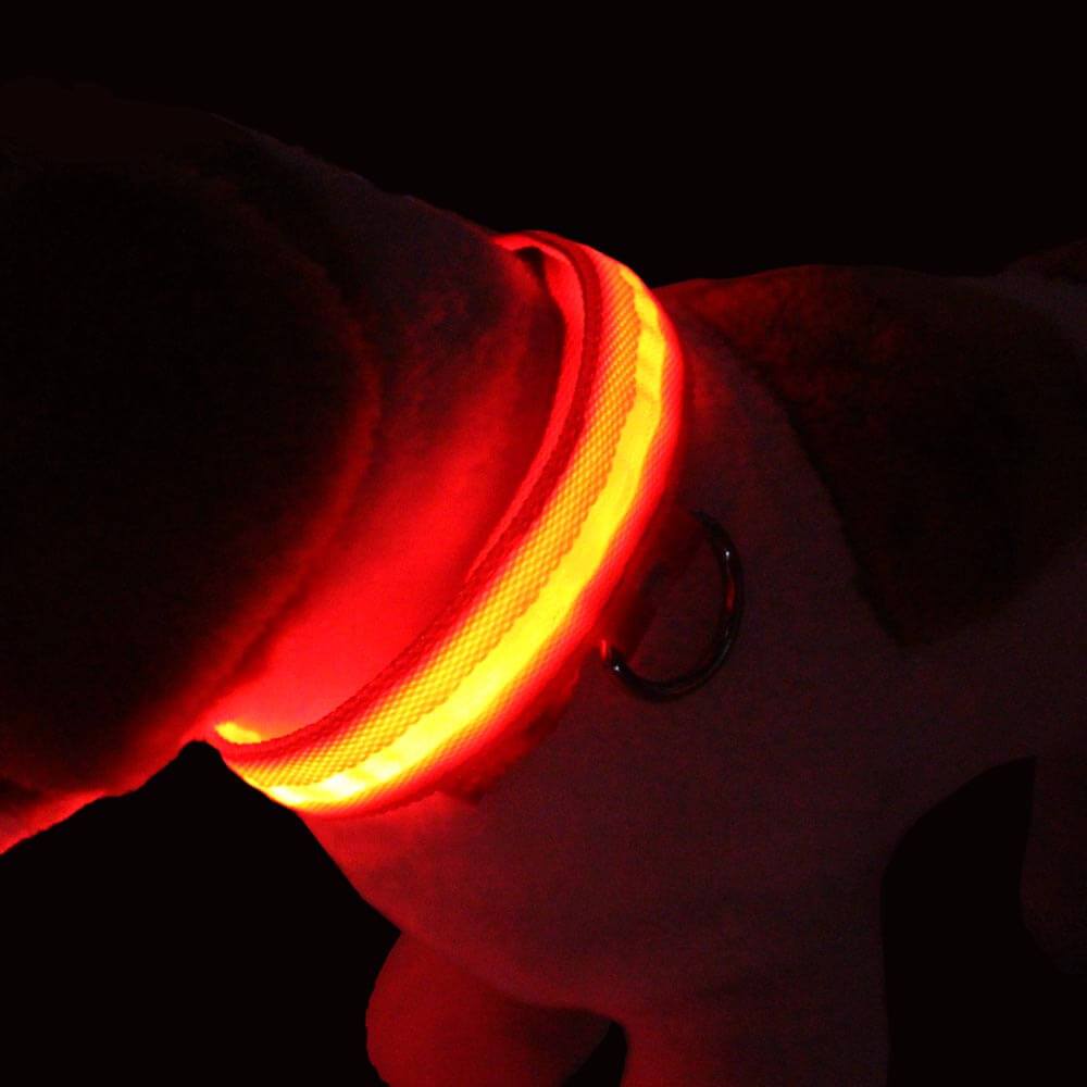 Light'Em LED safety dog collar