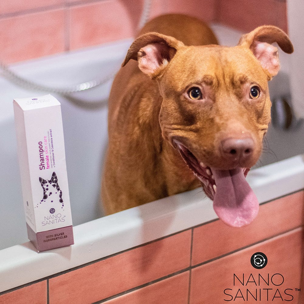 Shampooing pour le soin de la peau des chiens femelles par Nano Sanitas