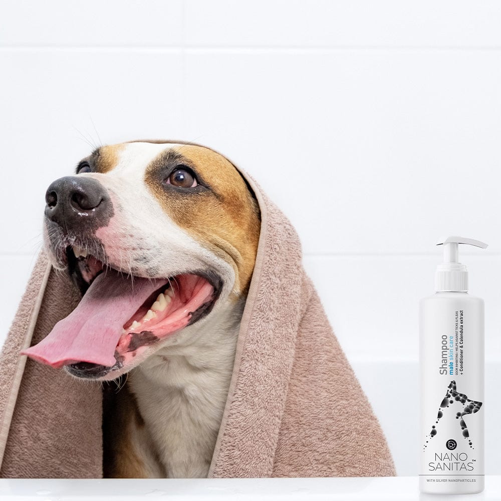 Shampooing pour le soin de la peau des chiens mâles par Nano Sanitas