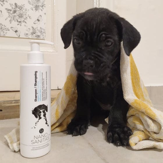 puppy gentle cleansing shampoo
