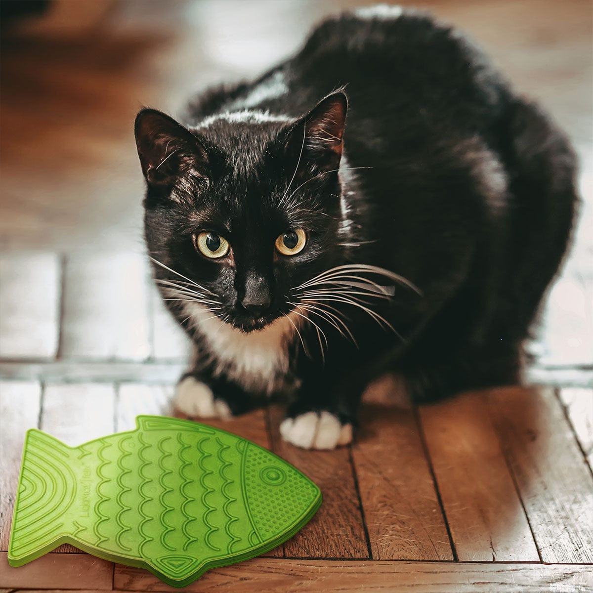 LickiMat Casper, Fish-Shaped Cat Slow Feeder Lick Mat – Elite Pet  Distributors