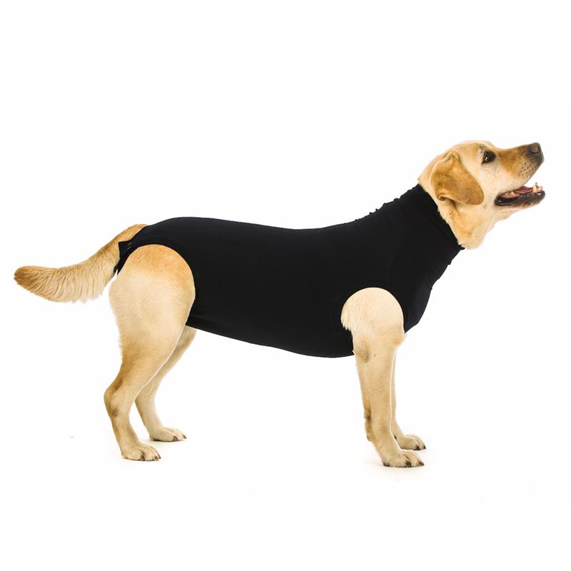 Dog Recovery Suit by Suitical