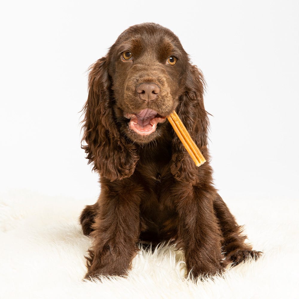 Whimzees dental Stix for dogs